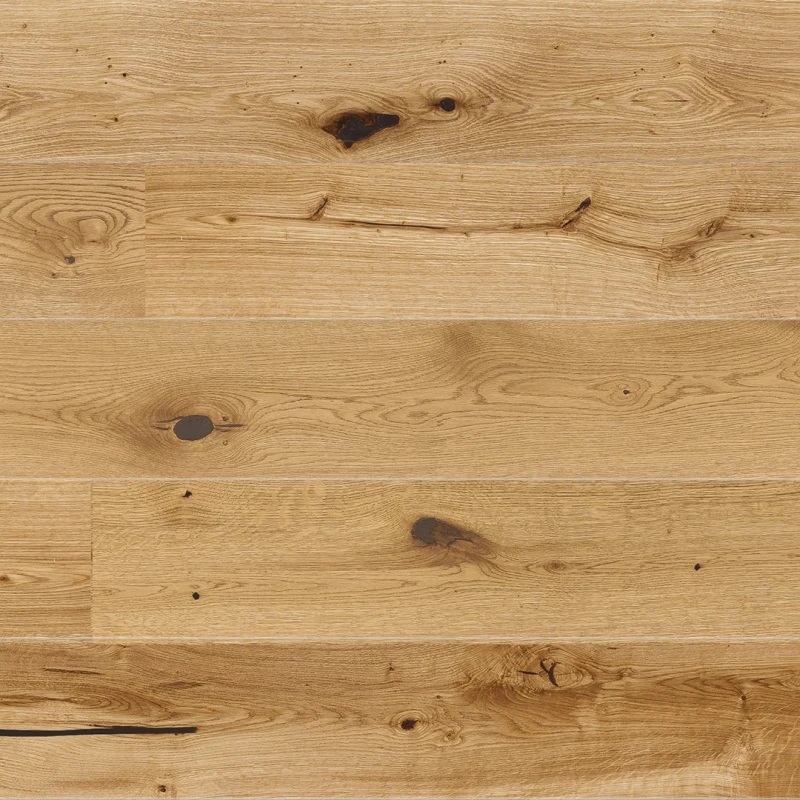 STEJAR INTENSE photo2